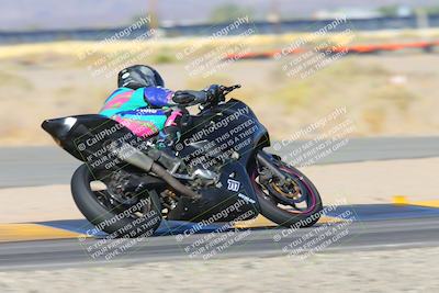 media/Nov-15-2024-CVMA Friday Practice (Fri) [[b142d29251]]/4-Group 4 and Trackday/Session 1 (Turn 14 Speed Pans)/